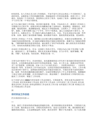 2024年村官驻村工作总结