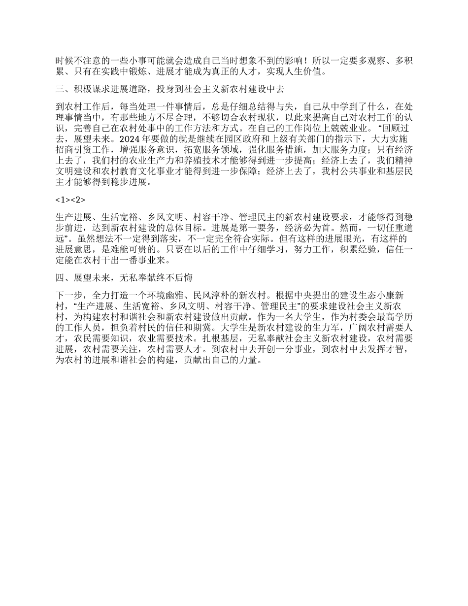 2024年村官年终工作总结_第2页