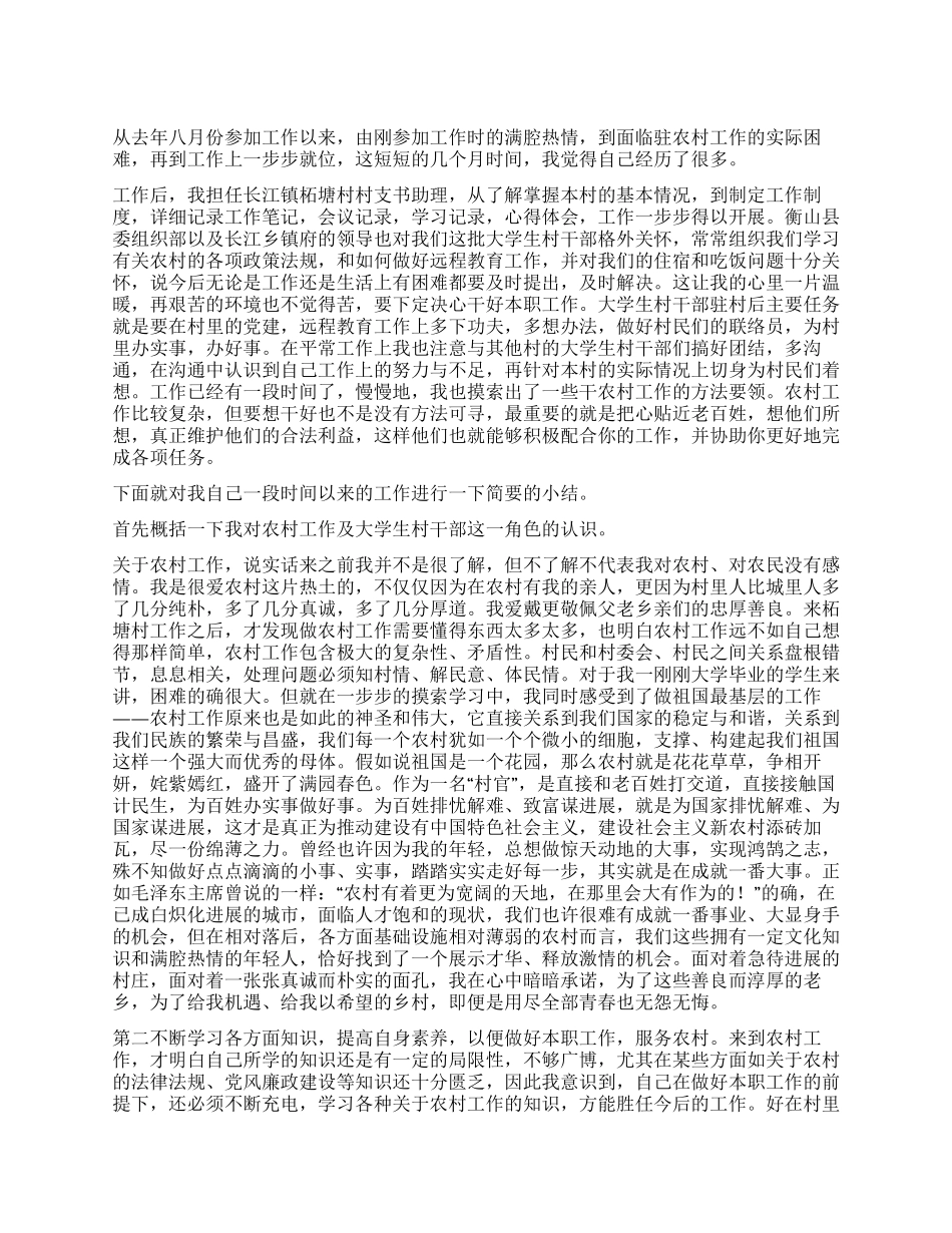 2024年村支书助理个人总结_第1页