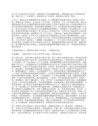 2024年村支书助理个人总结