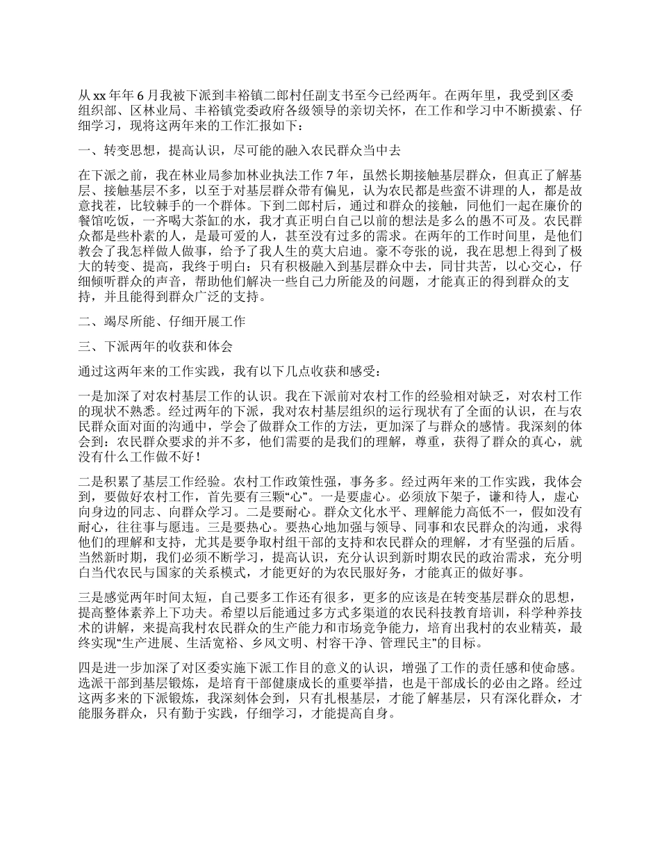 2024年村支书工作总结_第1页