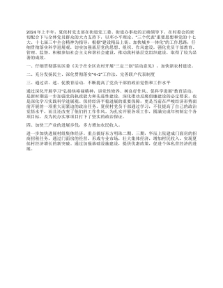 2024年村支部党建工作总结