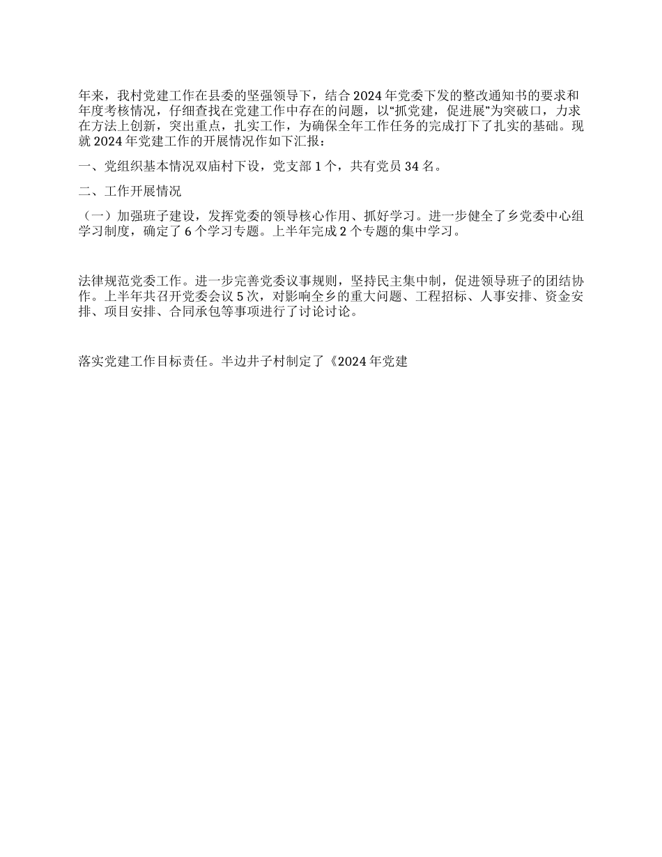 2024年村级党建工作总结_第1页