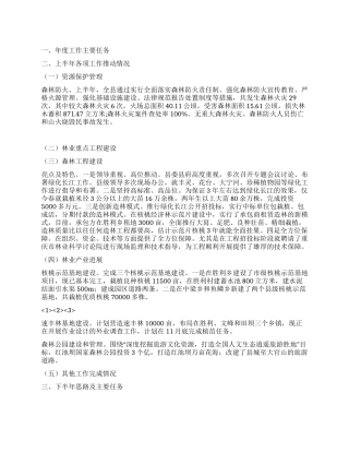 2024年林业局工作总结