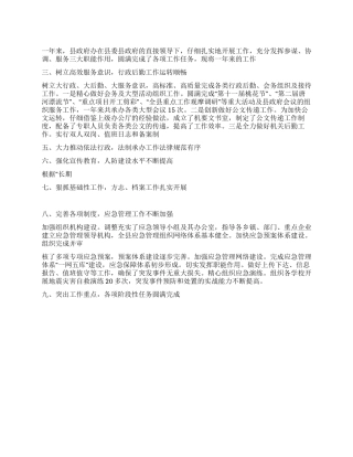 2024年某县人民政府办公室工作总结