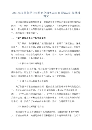 2024年某某集团公司信息化服务试点开展情况汇报材料例文