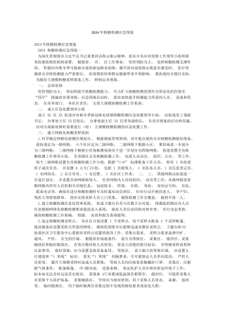 2024年核酸检测应急预案