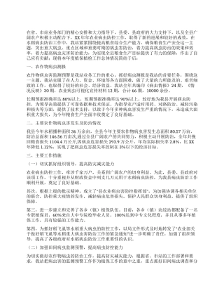 2024年植保工作总结