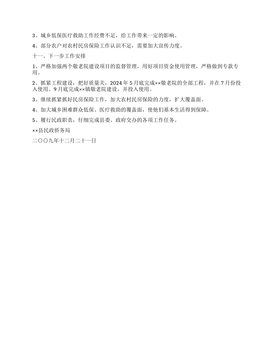 2024年民政局重大建设项目和重要工作总结_第2页