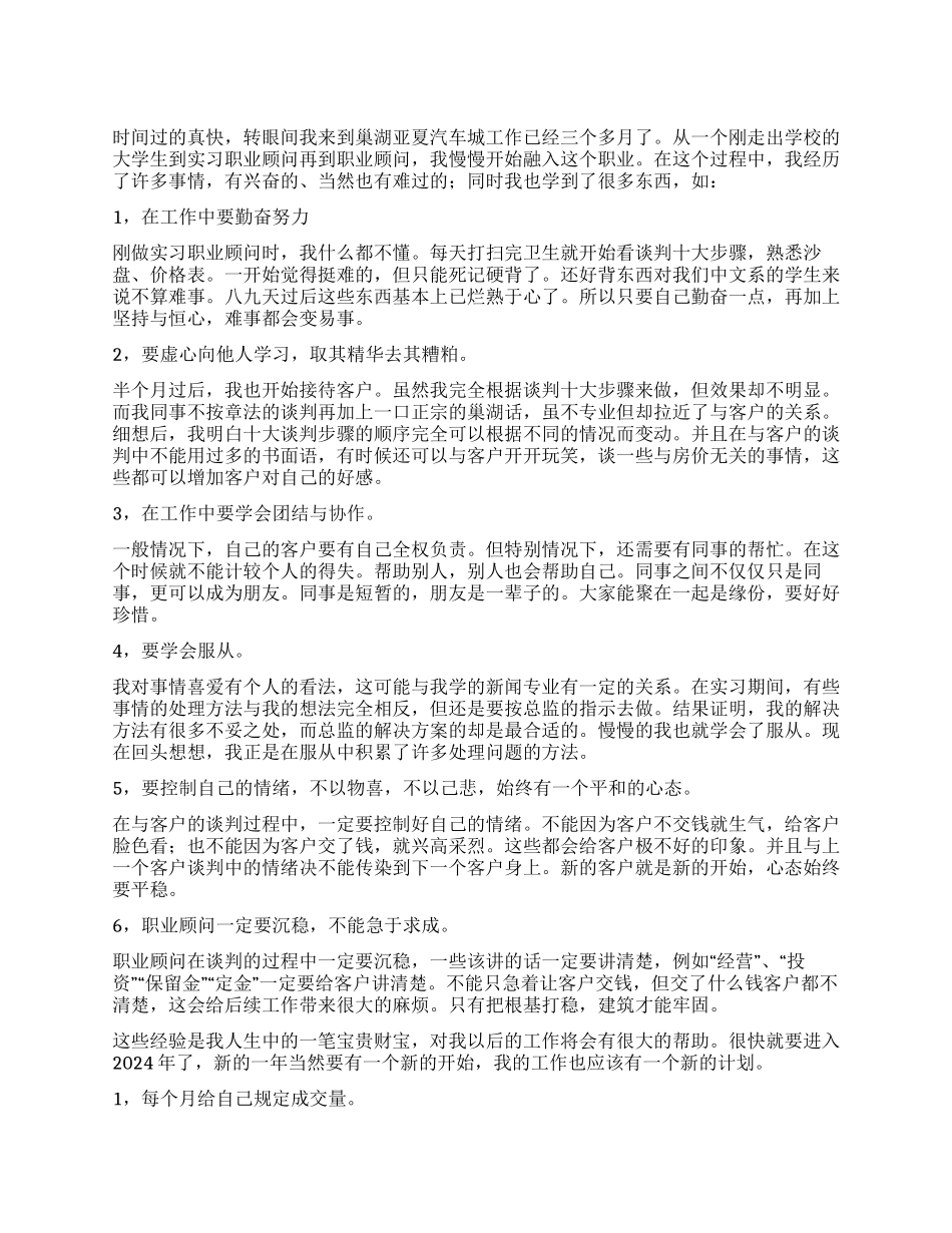 2024年汽车城职业顾问个人总结_第1页