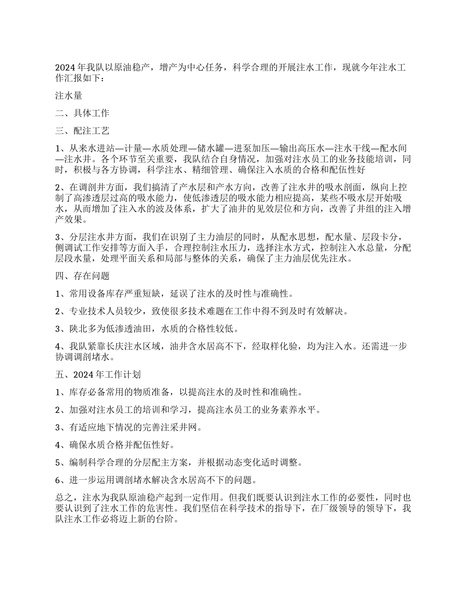 2024年注水井工作总结_第1页