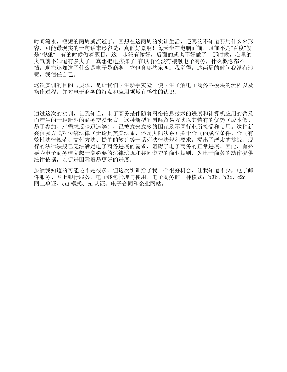 2024年电子商务实训总结_第1页