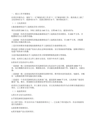 2024年社会事业局上半年工作总结-qq2024