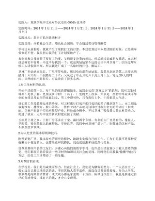 2024年社会实践报告