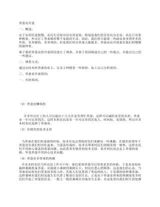 2024年社会实践调查报告