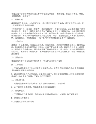 2024年组织委员工作总结