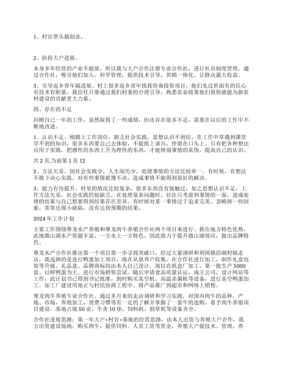 2024年终大学生村官工作总结_第2页