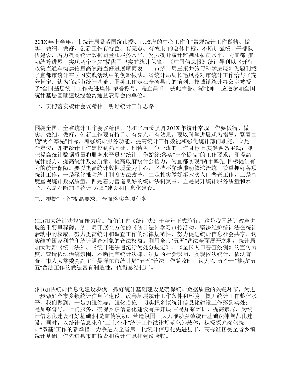 2024年统计局上半年工作总结_第1页