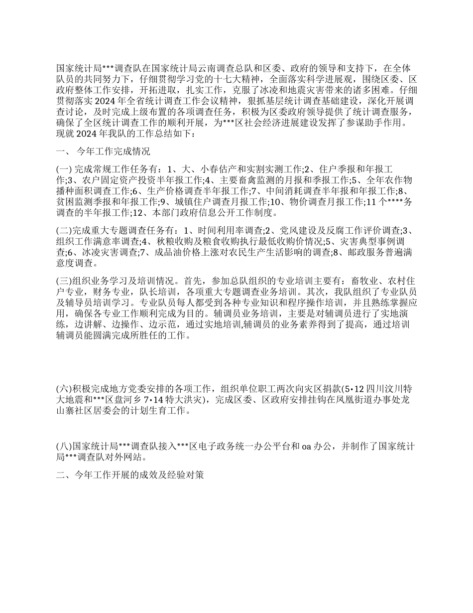 2024年统计局调查队工作总结_第1页
