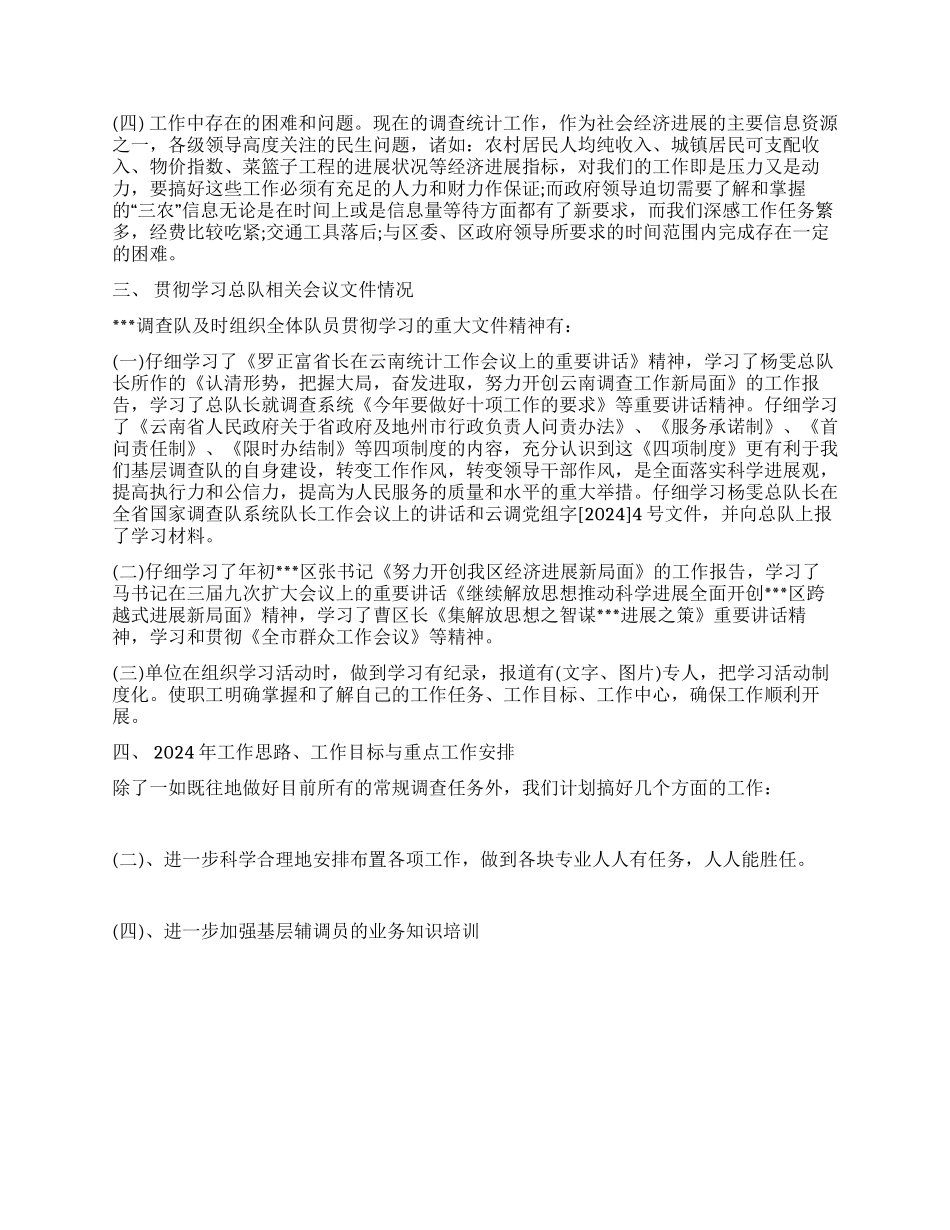 2024年统计局调查队工作总结_第2页