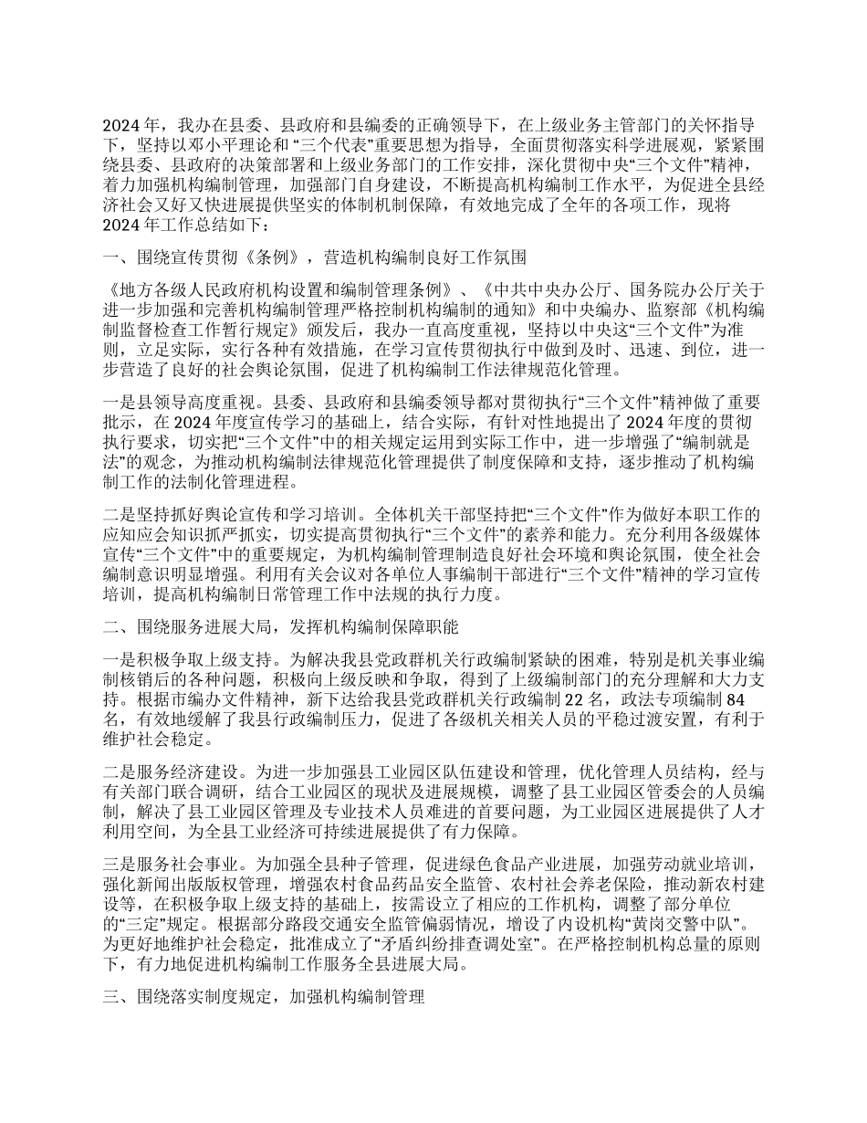 2024年编办年终工作总结_第1页