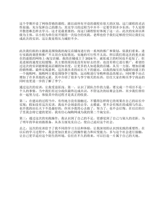 2024年网络营销实训个人总结