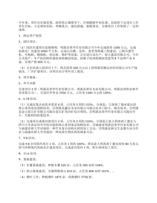 2024年胡坊镇项目办工作总结