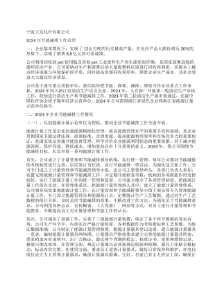 2024年节能减排总结