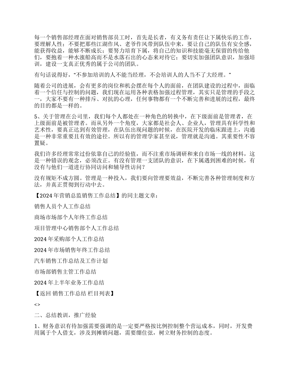 2024年营销总监销售工作总结_第2页