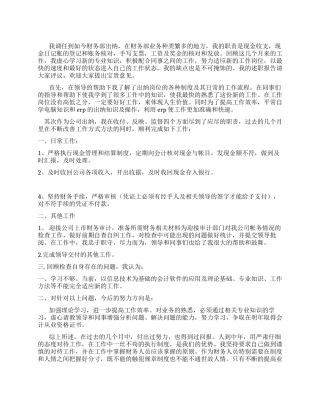 2024年财务出纳年终工作总结