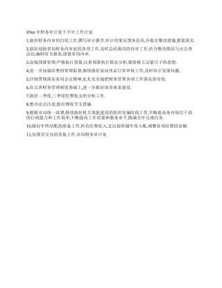 2024年财务审计处下半年工作计划