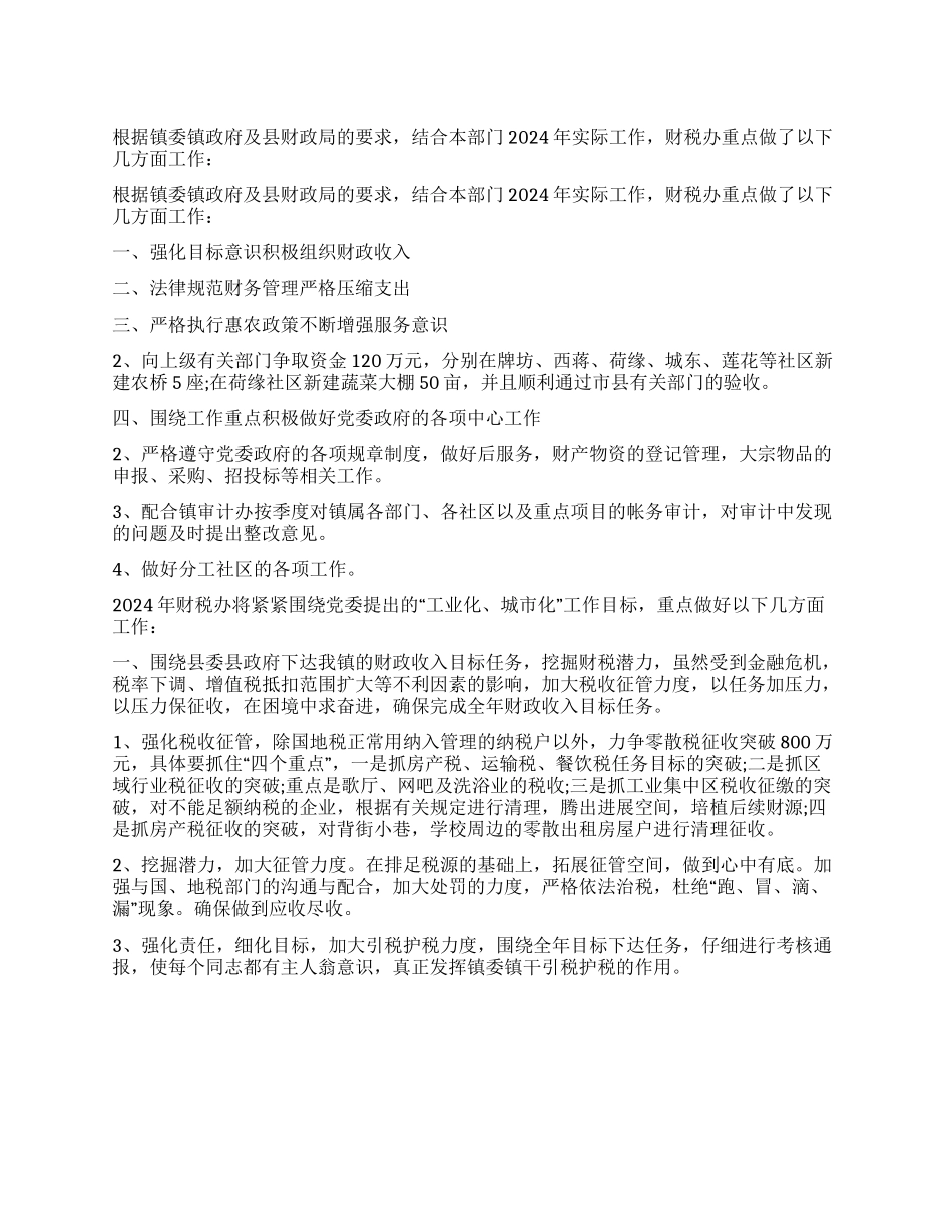 2024年财税办年终工作总结_第1页