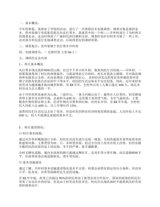 2024年走访农村寒假社会实践报告