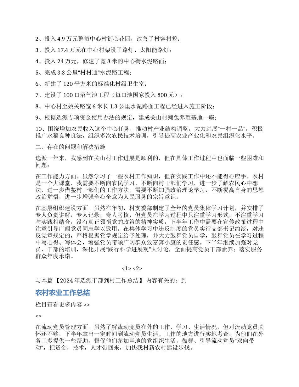 2024年选派干部到村工作总结_第2页