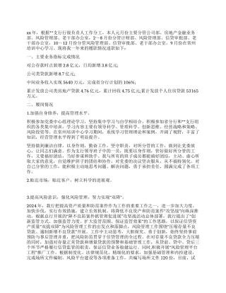 2024年银行副行长述职报告