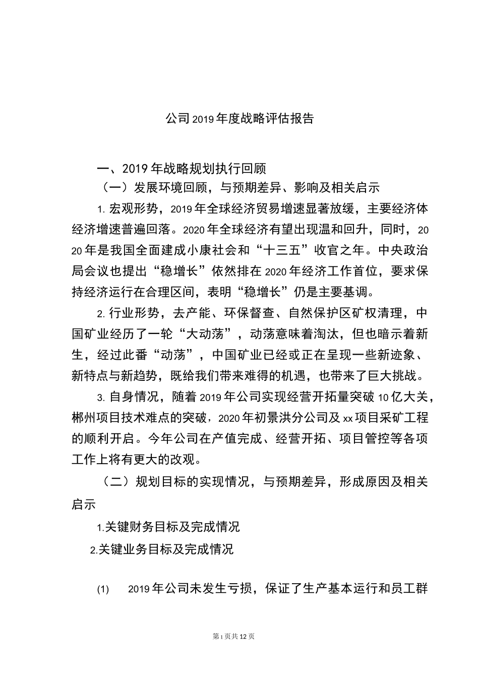 公司战略评估_第1页