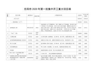 岳阳2020年第一批集中开工重大项目表