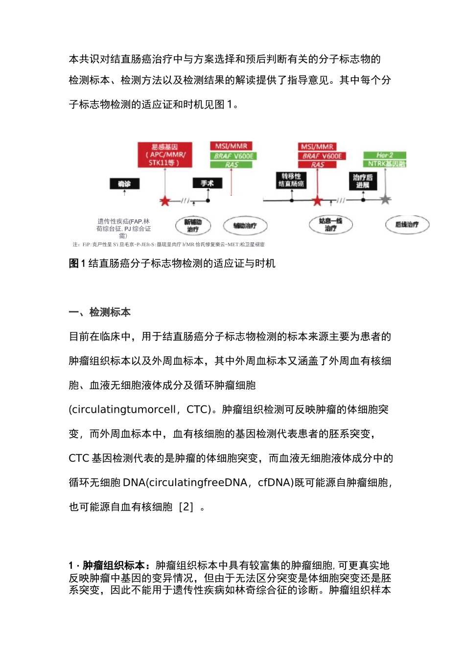 2021年结直肠癌分子标志物临床检测中国专家共识(完整版)_第2页