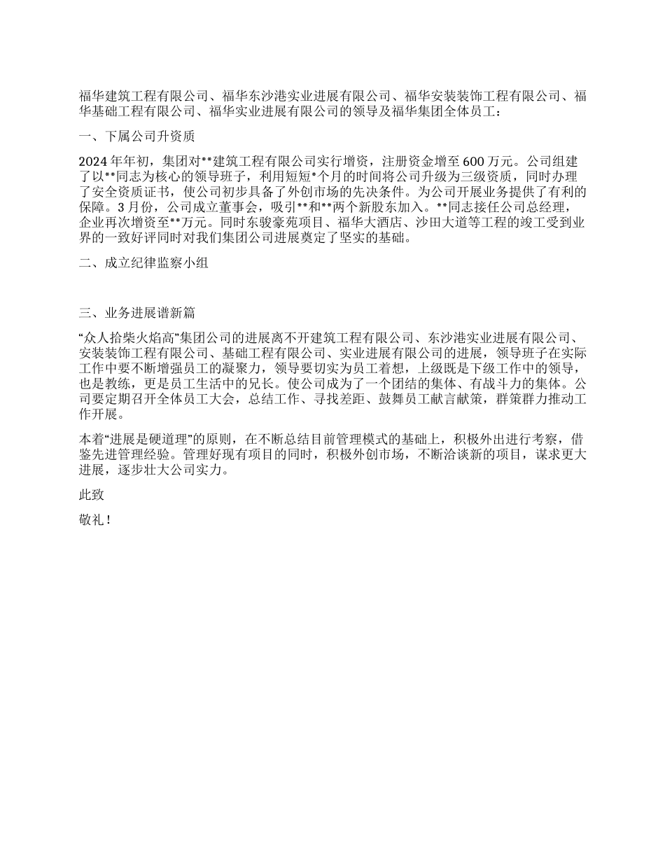 2024年集团有限公司工作总结_第1页