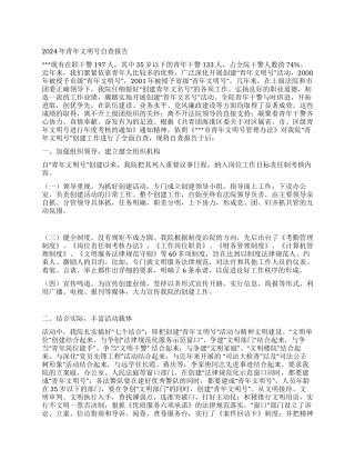 2024年青年文明号自查报告