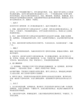 2024年青年教师心得体会