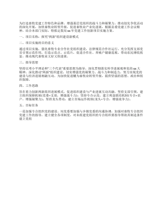 2024年项目部党建工作计划书格式