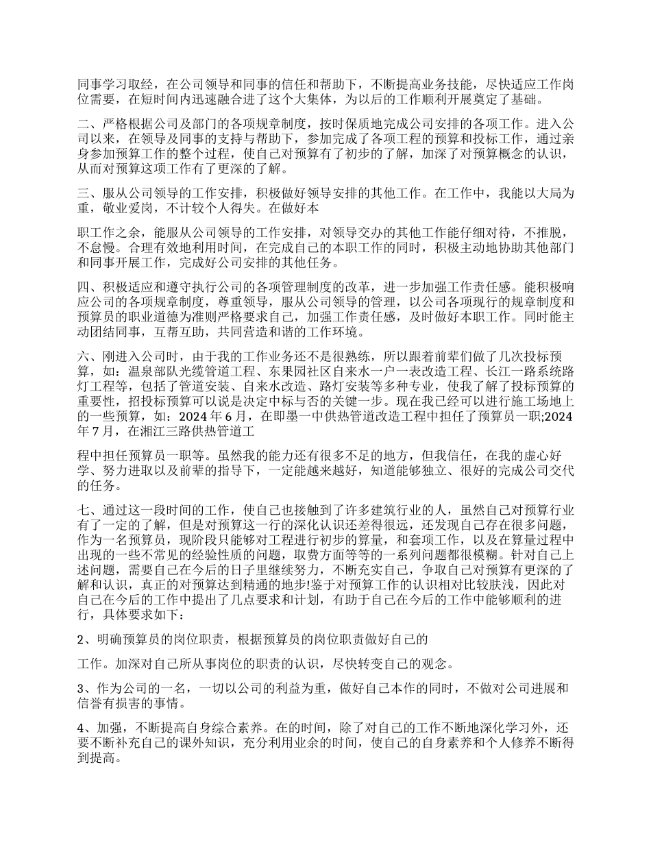 2024年预算员工作述职报告格式_第3页