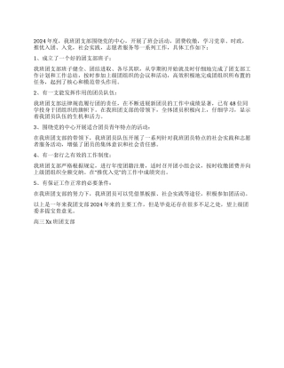 2024年高三团支部工作总结