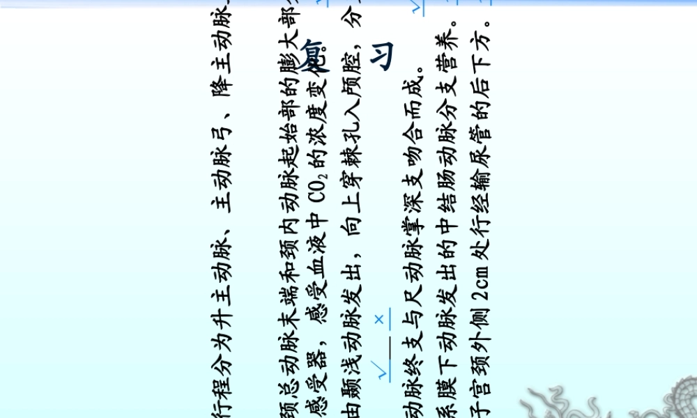 004体循环的静脉