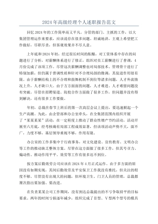 2024年高级经理个人述职报告范文