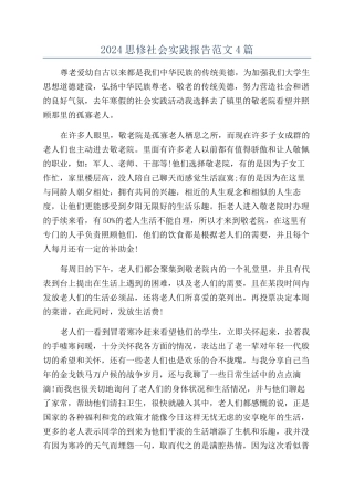 2024思修社会实践报告范文4篇