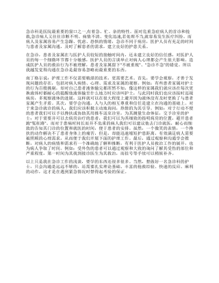 2024急诊科护士年终总结