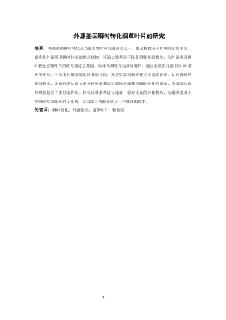 外源基因瞬时转化烟草叶片的研究 (2)