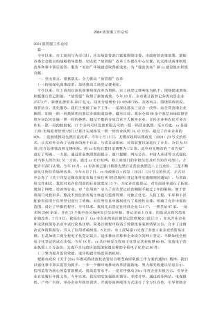 2024放管服工作总结